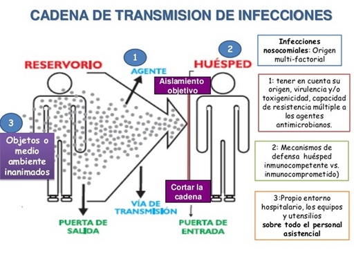 PREVENCION Y CONTROL DE INFECCIONES: Tuberculosis, Hepatitis y H.I.V. (REVISADO 2020)